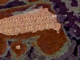 Dick videotape gay porn japan muscle